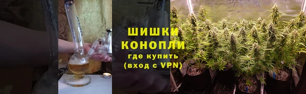 трава Абаза