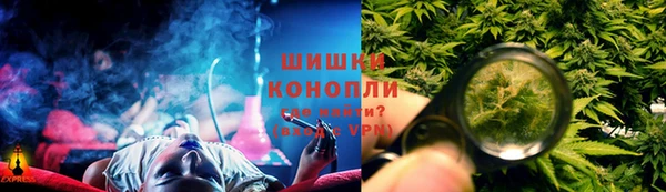 трава Абаза