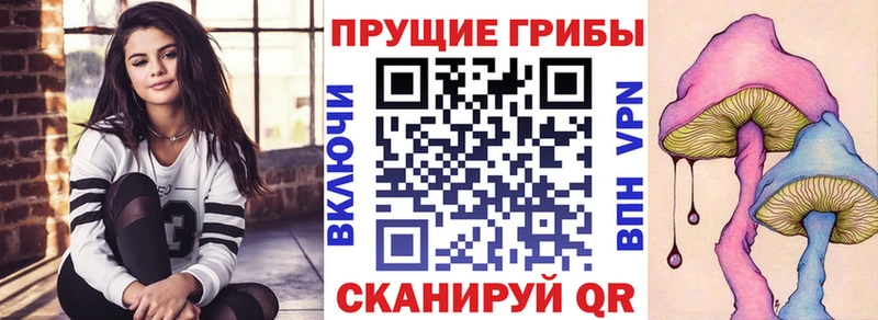 где можно купить наркотик  Александровск  Галлюциногенные грибы мухоморы 